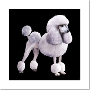 Poodle dog, Love Poodles, Dog Lover Posters and Art